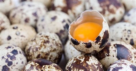 Bıldırcın yumurtası şeker hastalığına iyi gelir ve zarar verir